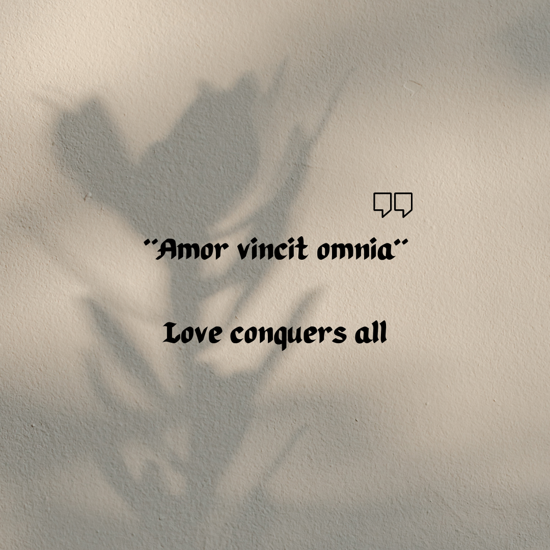 latin proverbs about love