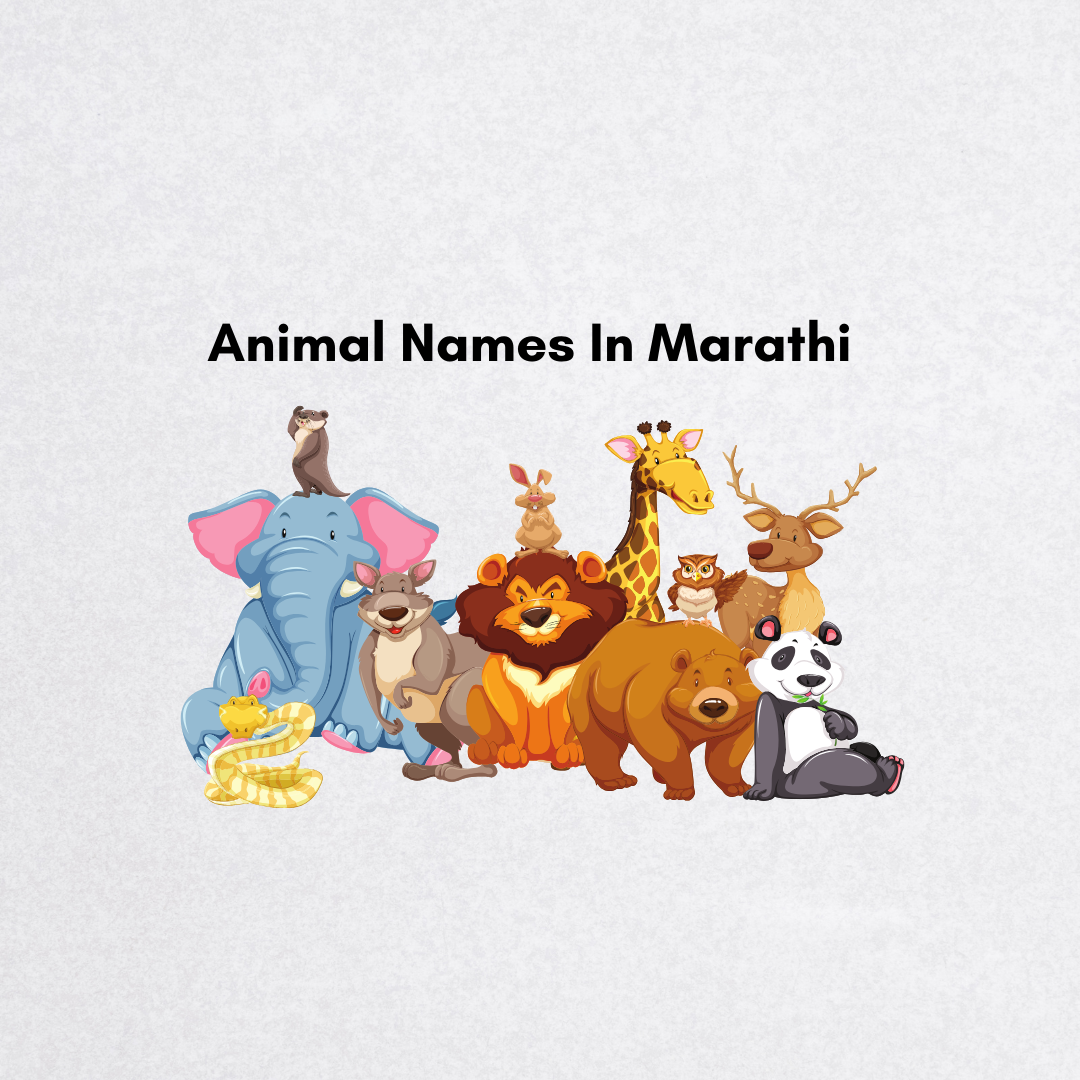 Animal names in Marathi with English translations