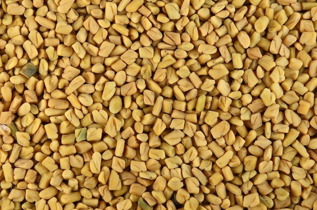 A closeup of many fenugreek seeds