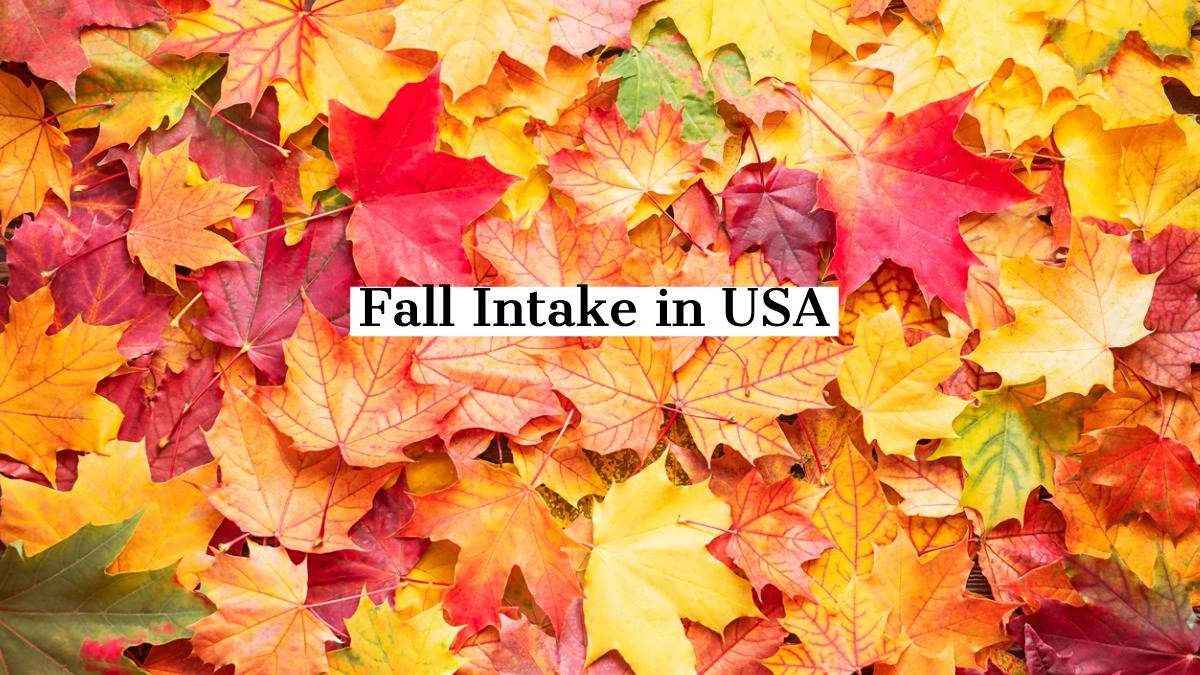 What is fall intake?