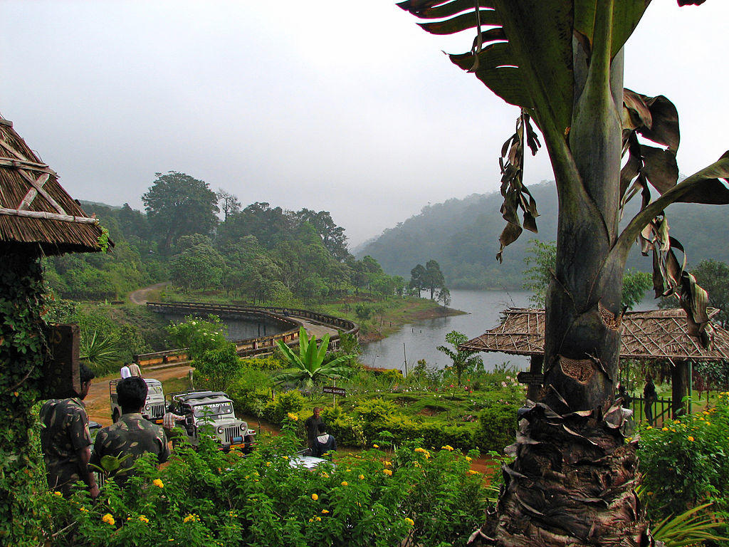 An overlook of the lush jungle and river in Periyar