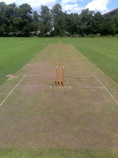 cricket pitch