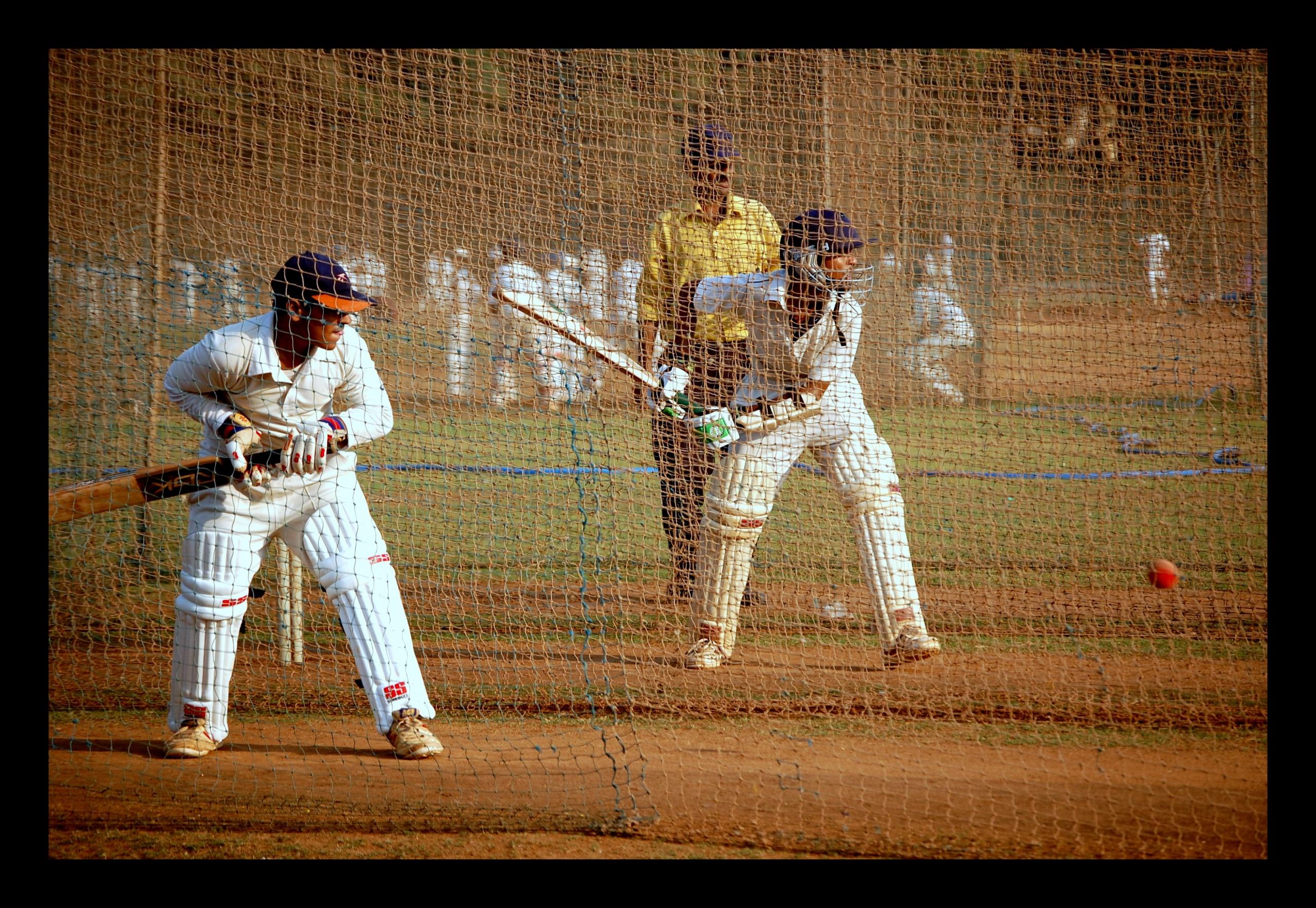 cricket training nets
