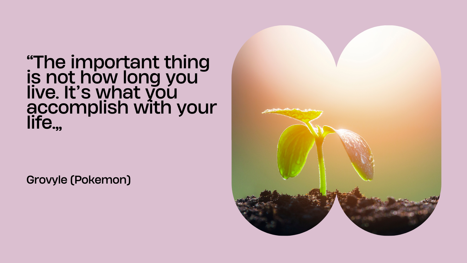 Anime quotes from Pokemon