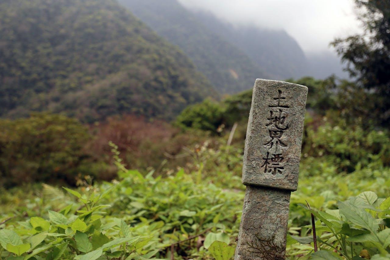 The oldest living languages in the world