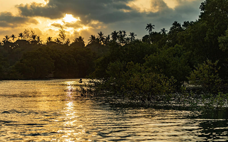 Sunset on the river Congo with dense trees all around