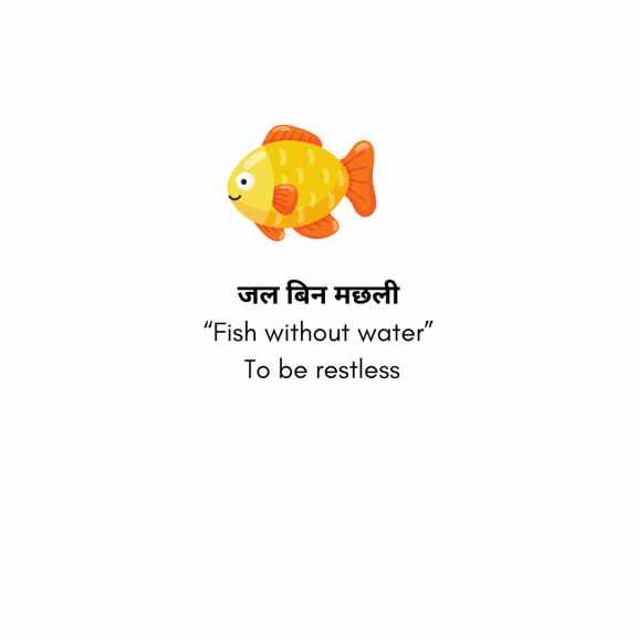 Animals Name In Hindi And English [2024]