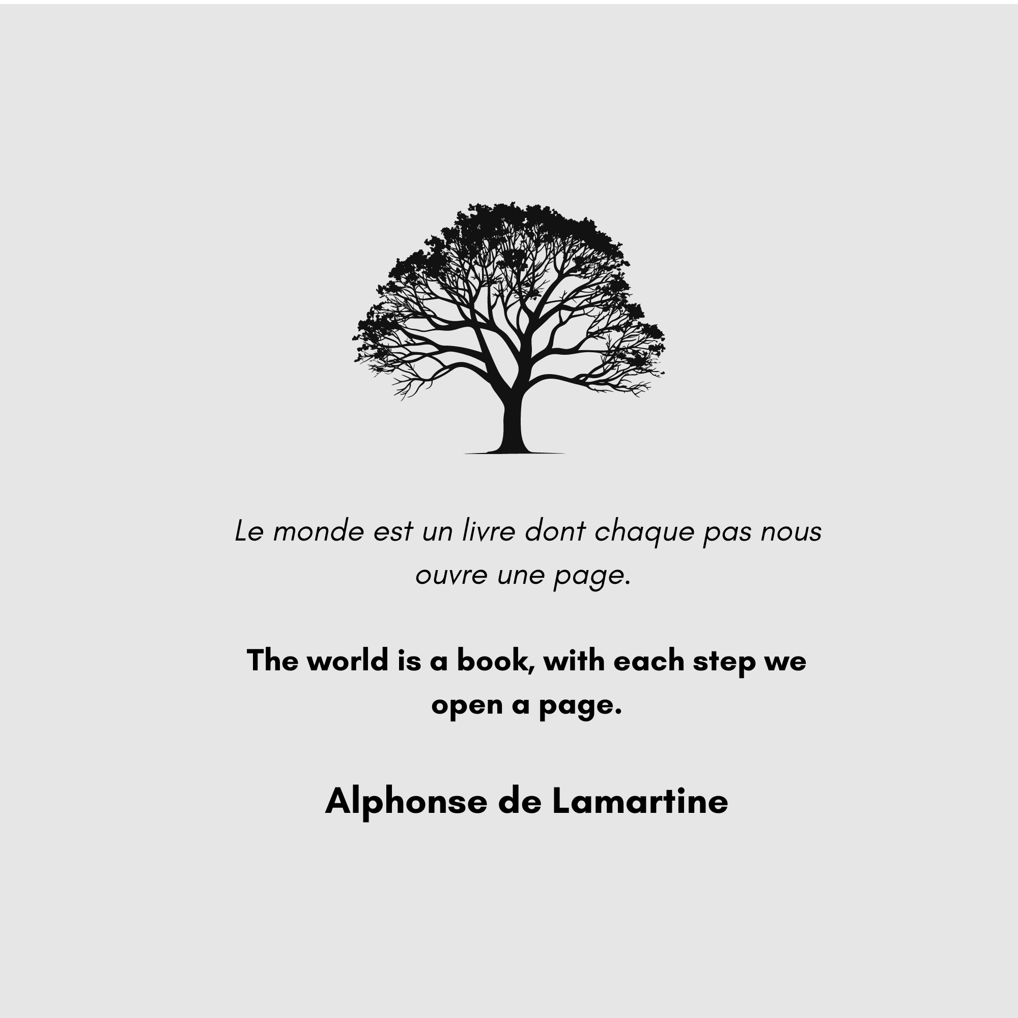 french bio for instagram