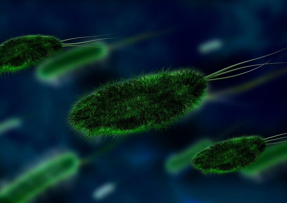 top-biology-revision-websites