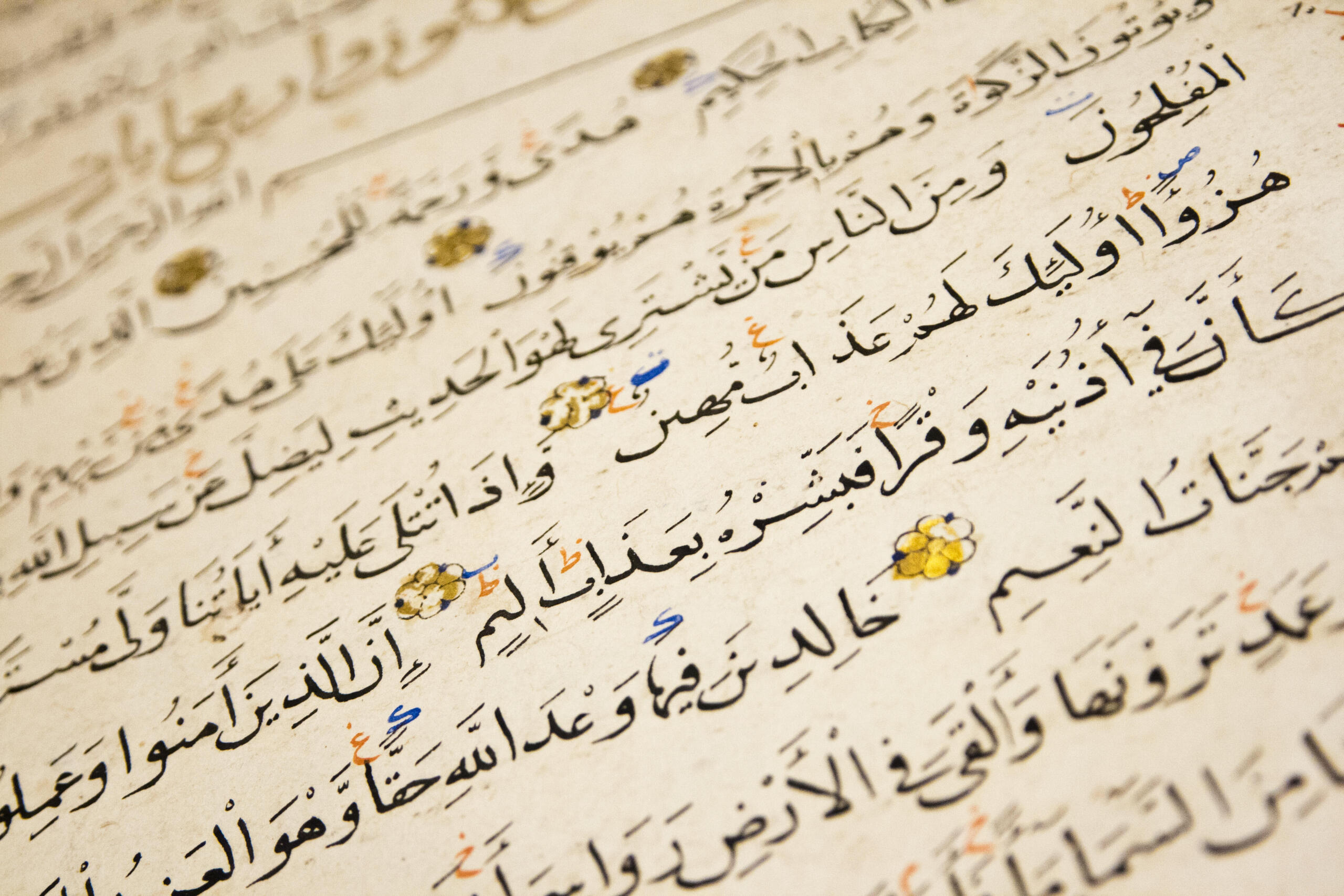 Private Arabic lessons from native speakers are recommended