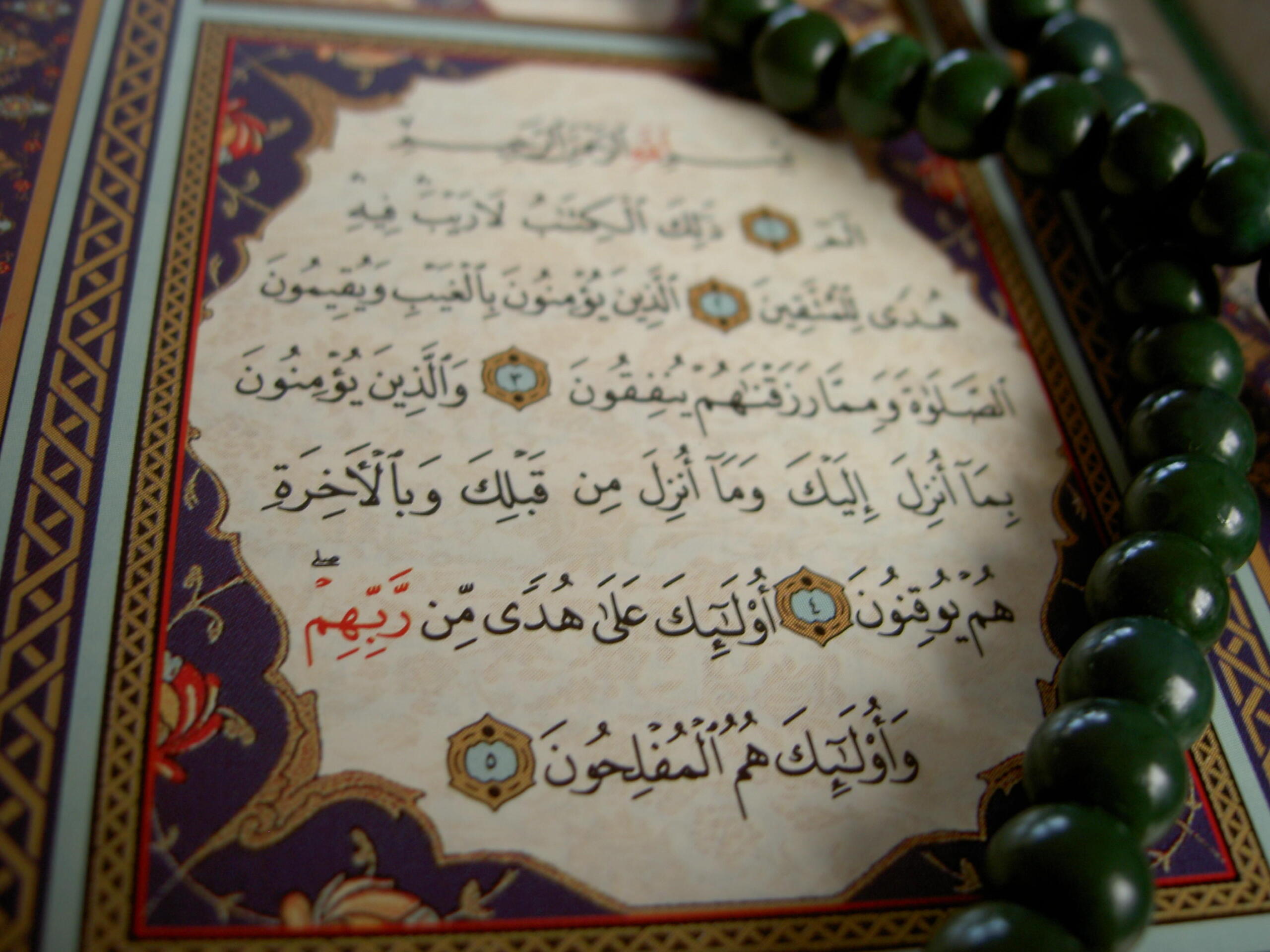 Teaching Arabic in universities