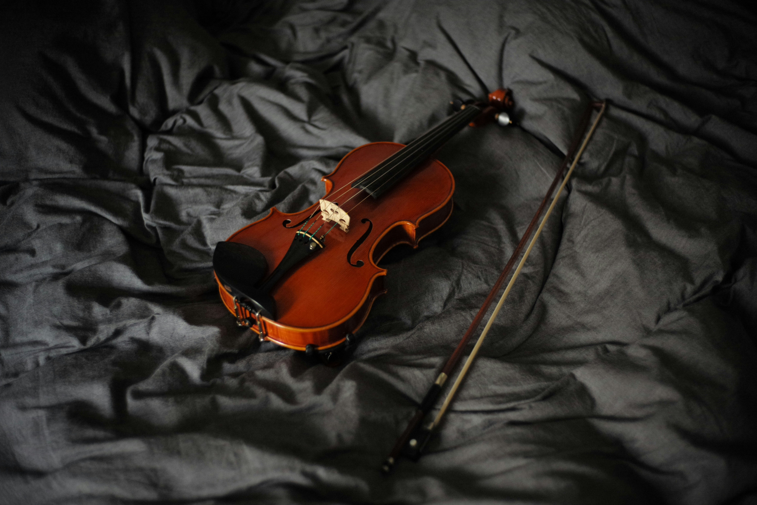 best books to learn the violin