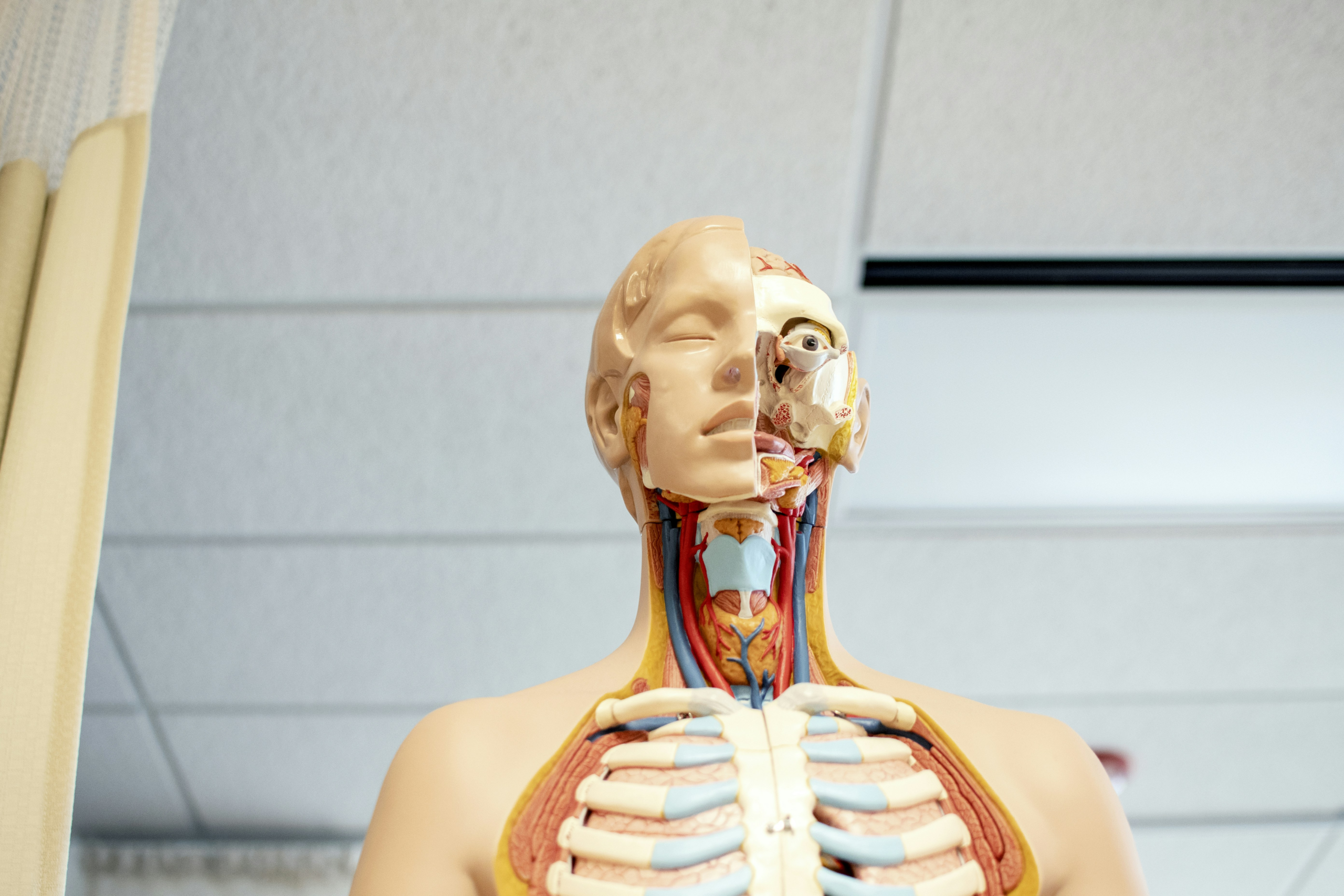 biological-engineering
