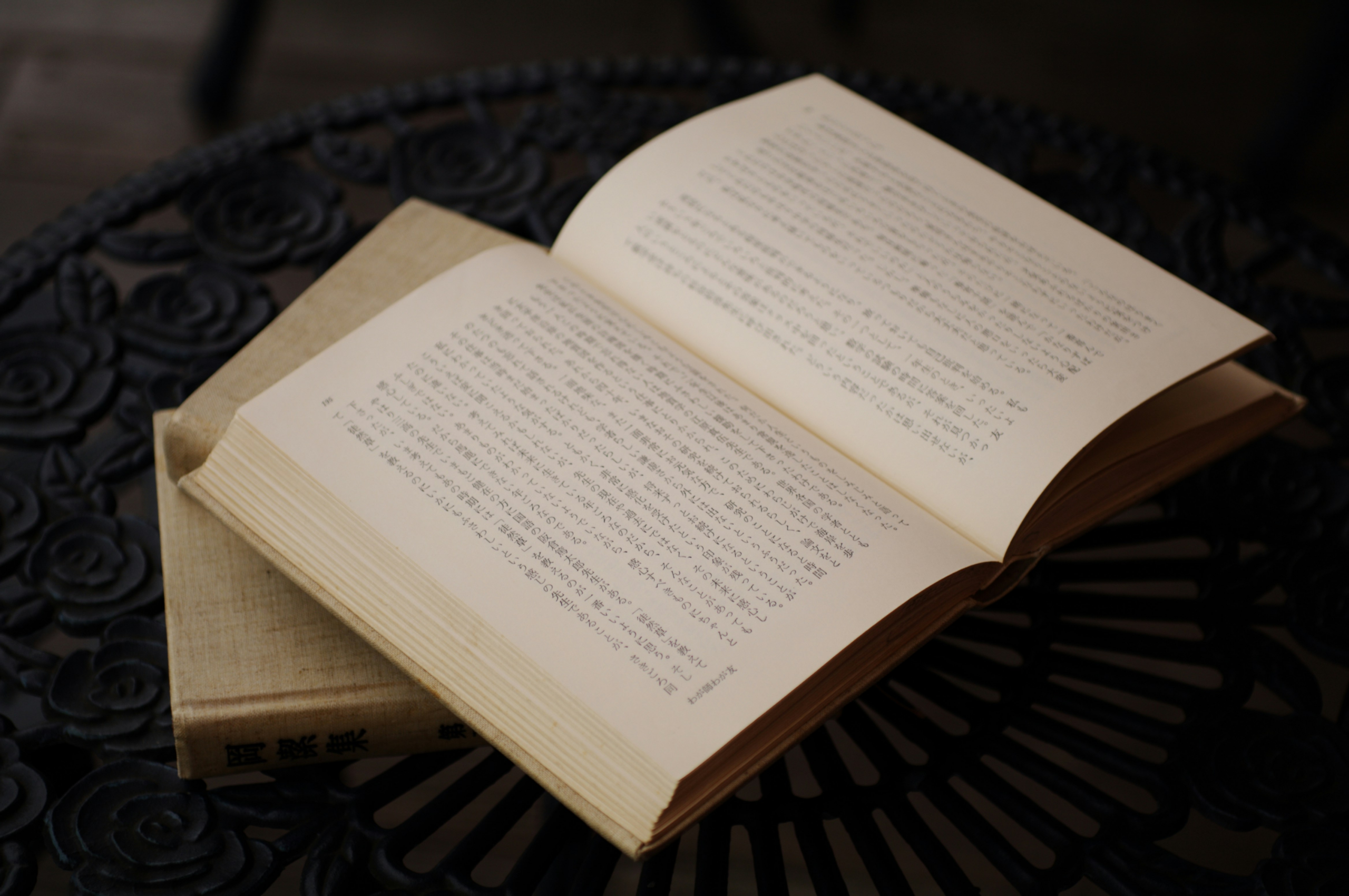 Japanese-literature