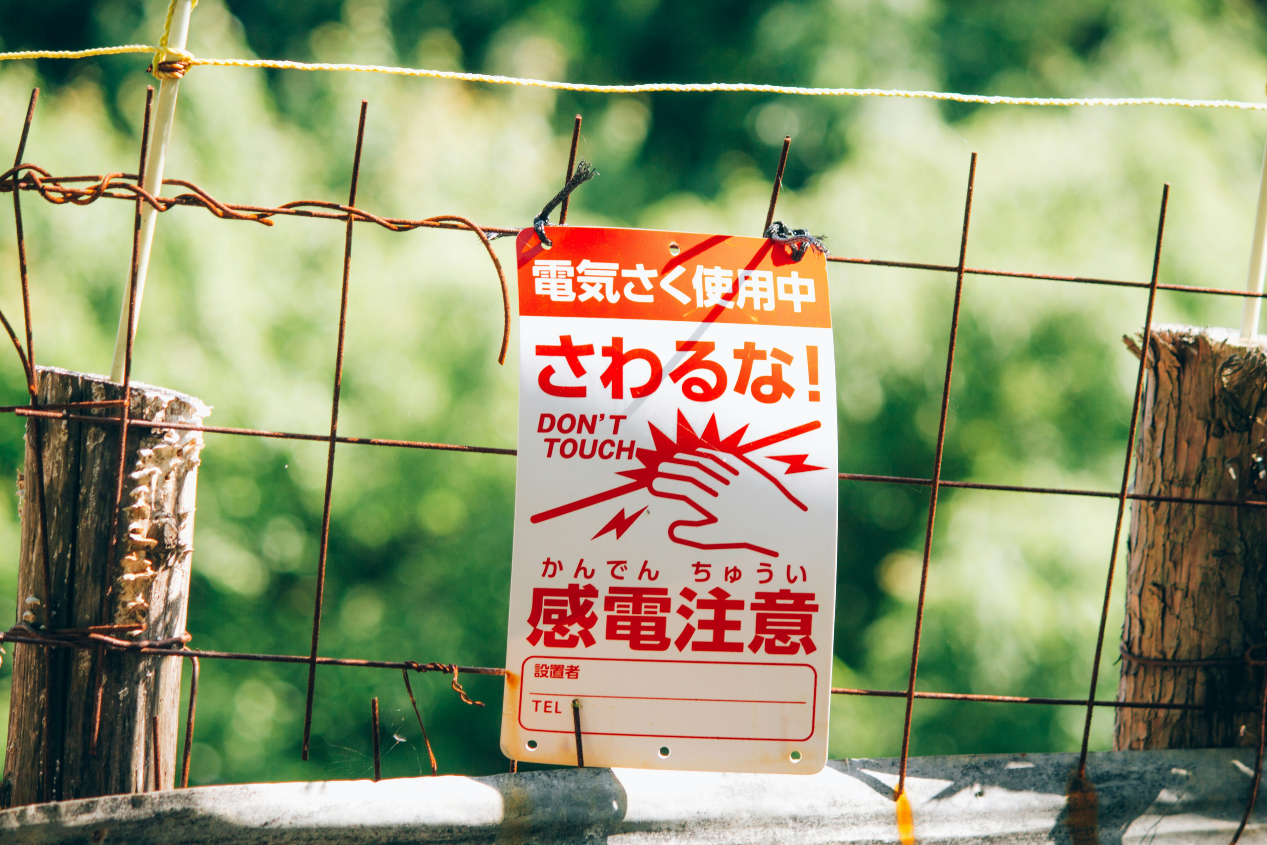 learn-japanese