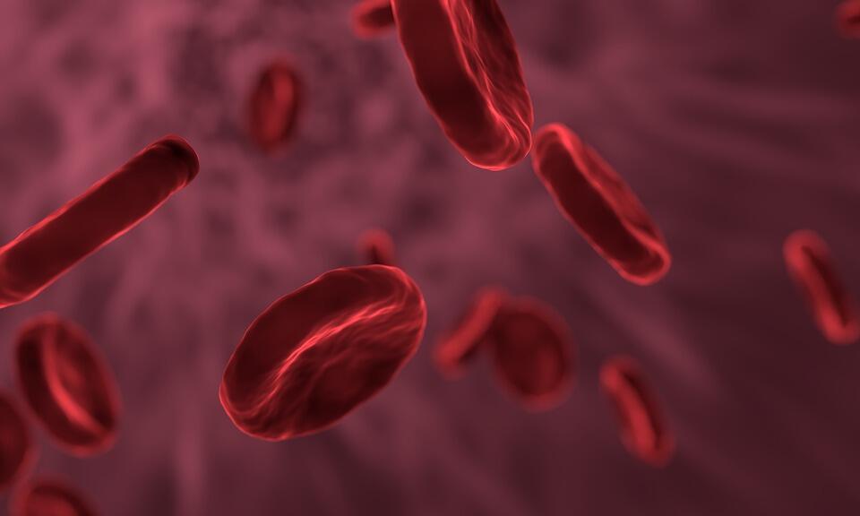 top-biology-revision-websites