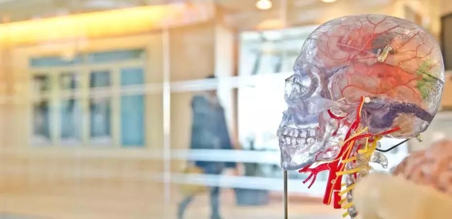 Le scienze matematiche nella vita quotidiana