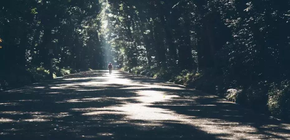 Studiare matematica in autonomia