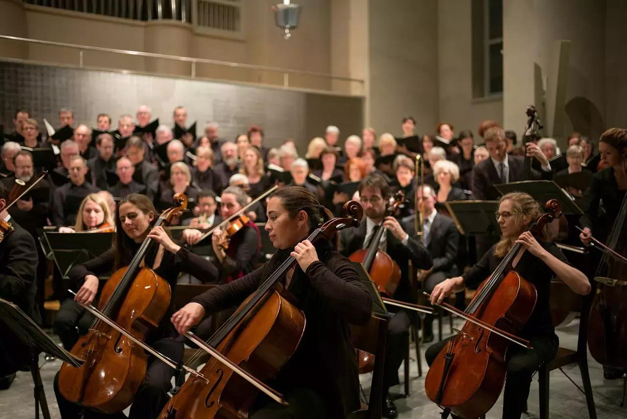 Cordofoni, aerofoni, elettrofoni e percussioni: ecco le quattro principali famiglie in cui vengono suddivisi gli strumenti musicali. 