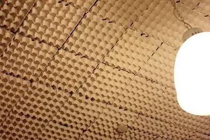 Insonorizzare la stanza con le confezioni dell'uovo.