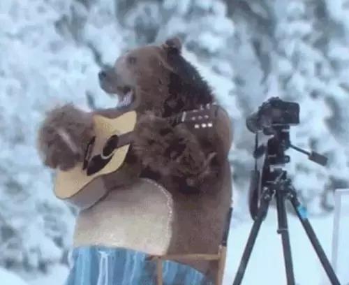 Se scegli la strada dell'autodidatta ti servirà un'enorme forza di volontà per studiare chitarra