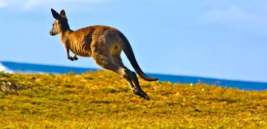 Impara la lingua anglosassone in Australia, Canada o Nuova Zelanda.