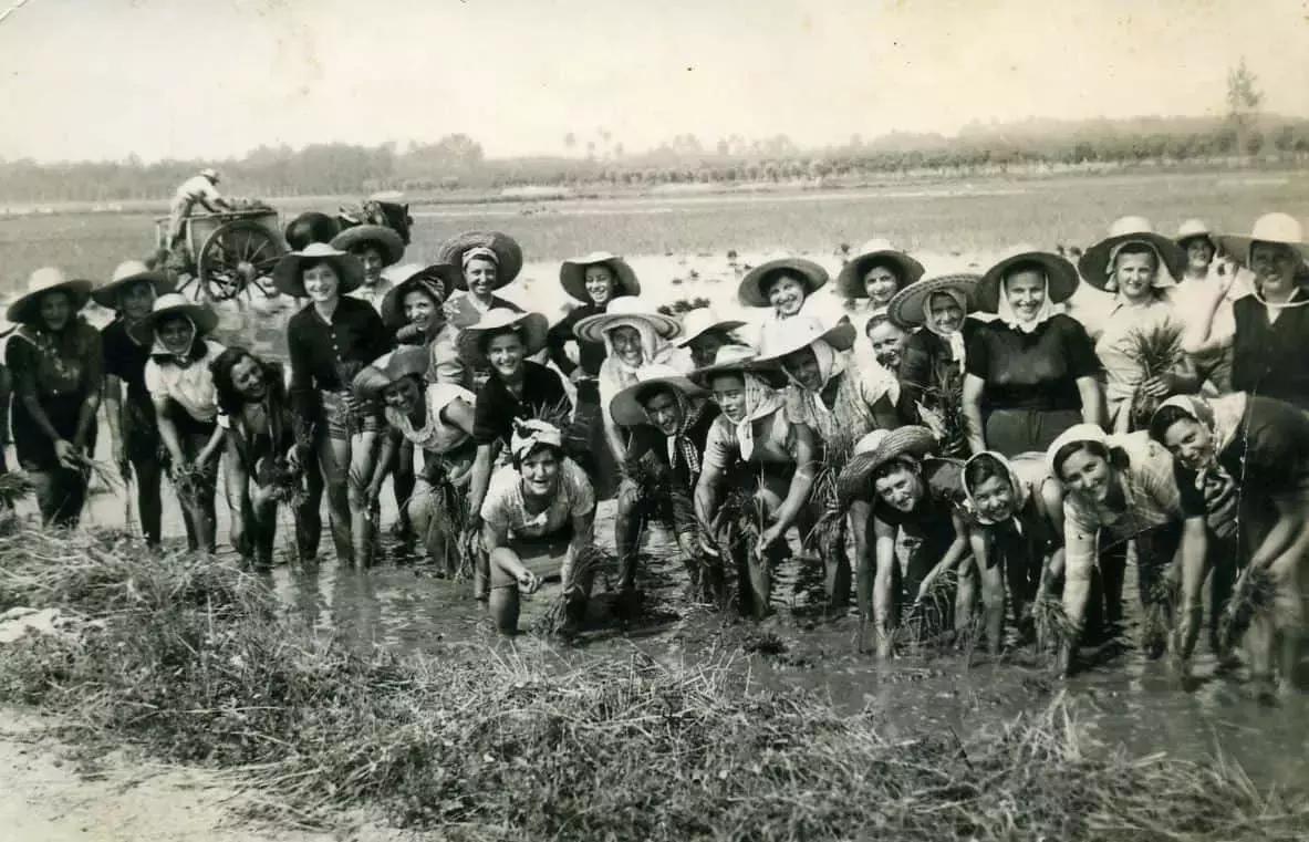 Un esempio di musica popolare in Italia sono i canti delle mondine che accompagnavano il duro lavoro nelle risaie della pianura padana.