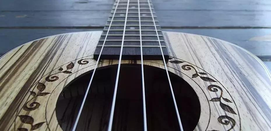 Migliori rifiniture e legno pregiato fanno alzare il costo della tua chitarra folk.