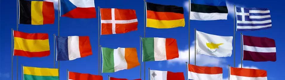 Se hai la fortuna di parlare più lingue, potresti dare corsi di lingua con molto successo. 