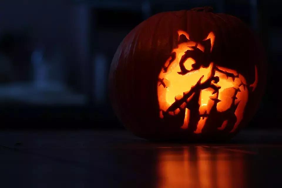 Ecco a voi Frankenweenie intagliato in una zucca di Halloween!