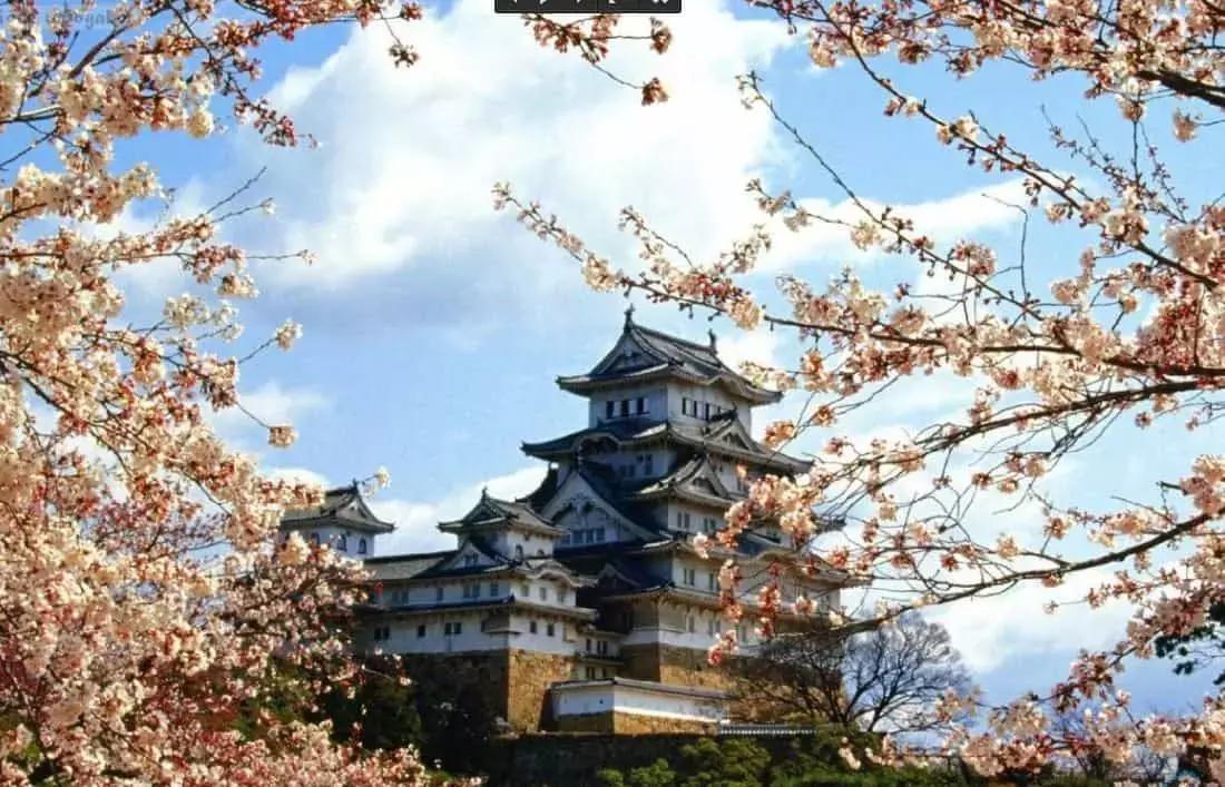 Se anche tu subisci il fascino mistico dell'oriente, non puoi non conoscere il giapponese.