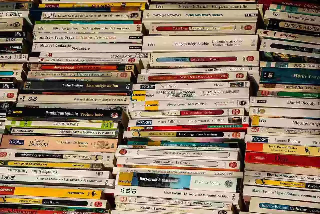 Dovrai quindi imparare approfonditamente tutte le fasi storiche della letteratura francese, dai secoli scorsi fino ad arrivare al XXI secolo.