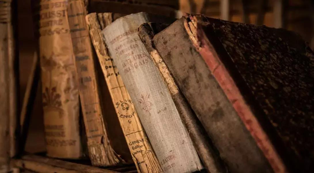 L'amore per la lingua e la letteratura francese spinge molti a diventare insegnanti. 