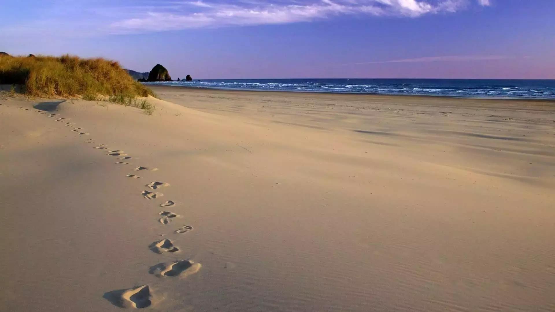 Un'app per il francese segue i tuoi progressi con la lingua di Molière passo dopo passo.