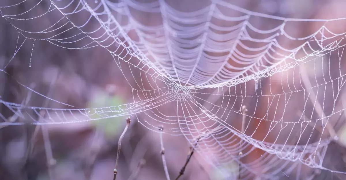 Il web è la prima fonte di corsi gratuiti di francese.