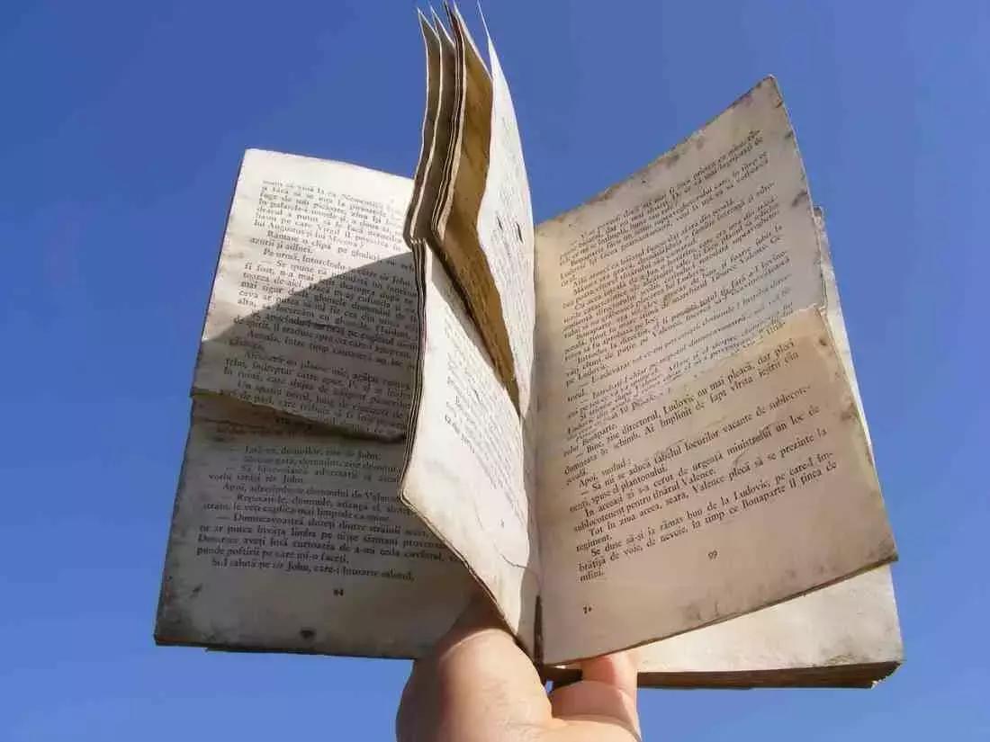 La lettura di opere complementari a quelle presenti nel programma dell'ultimo anno di corso di francese possono risultare utili ad approfondire la conoscenza letteraria.
