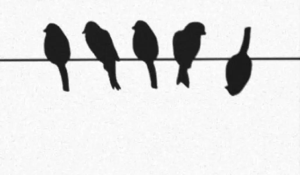 Se conosci perfettamente lo spagnolo, avrai sicuramente una marcia in più!