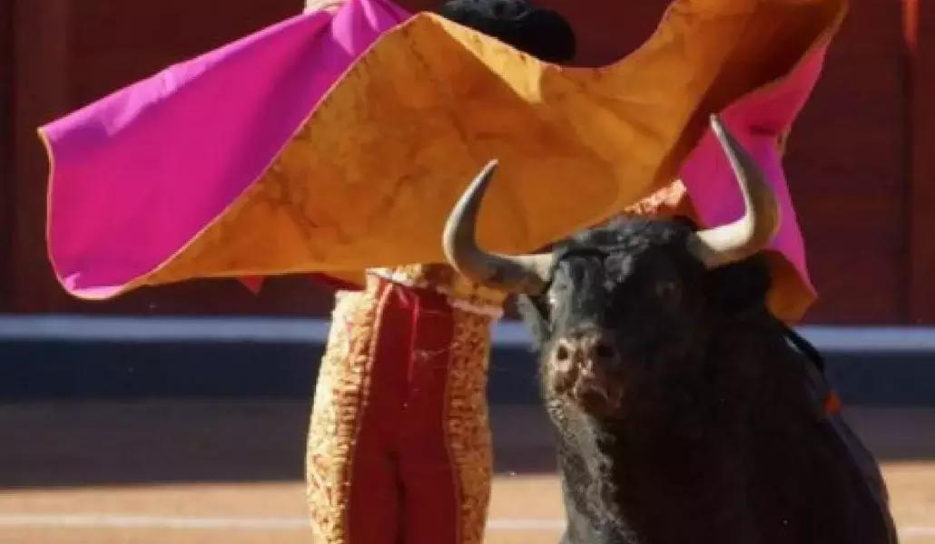 Con i nostri semplici consigli, potrai rapidamente imparare a domare lo spagnolo!