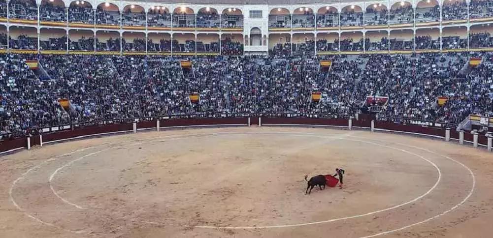 Cerca di organizzare attentamente e in anticipo le tue lezioni e crea un'atmosfera piacevole per rendere rilassanti i tuoi corsi.