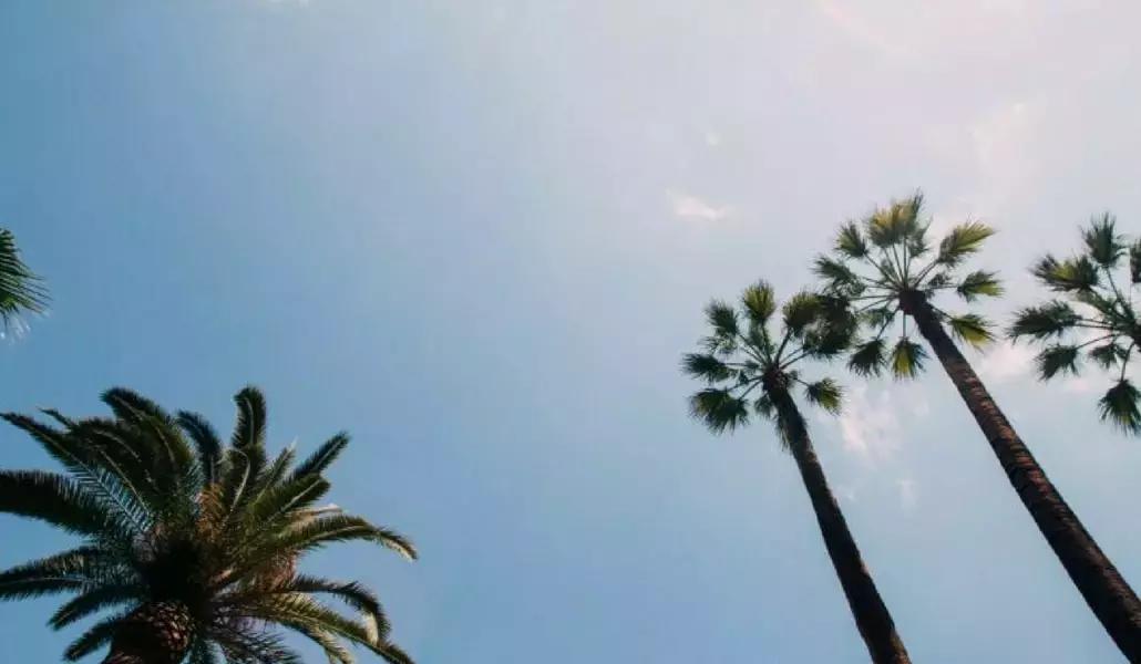 Ecco i 10 motivi per cui è utili parlare spagnolo al giorno d'oggi!