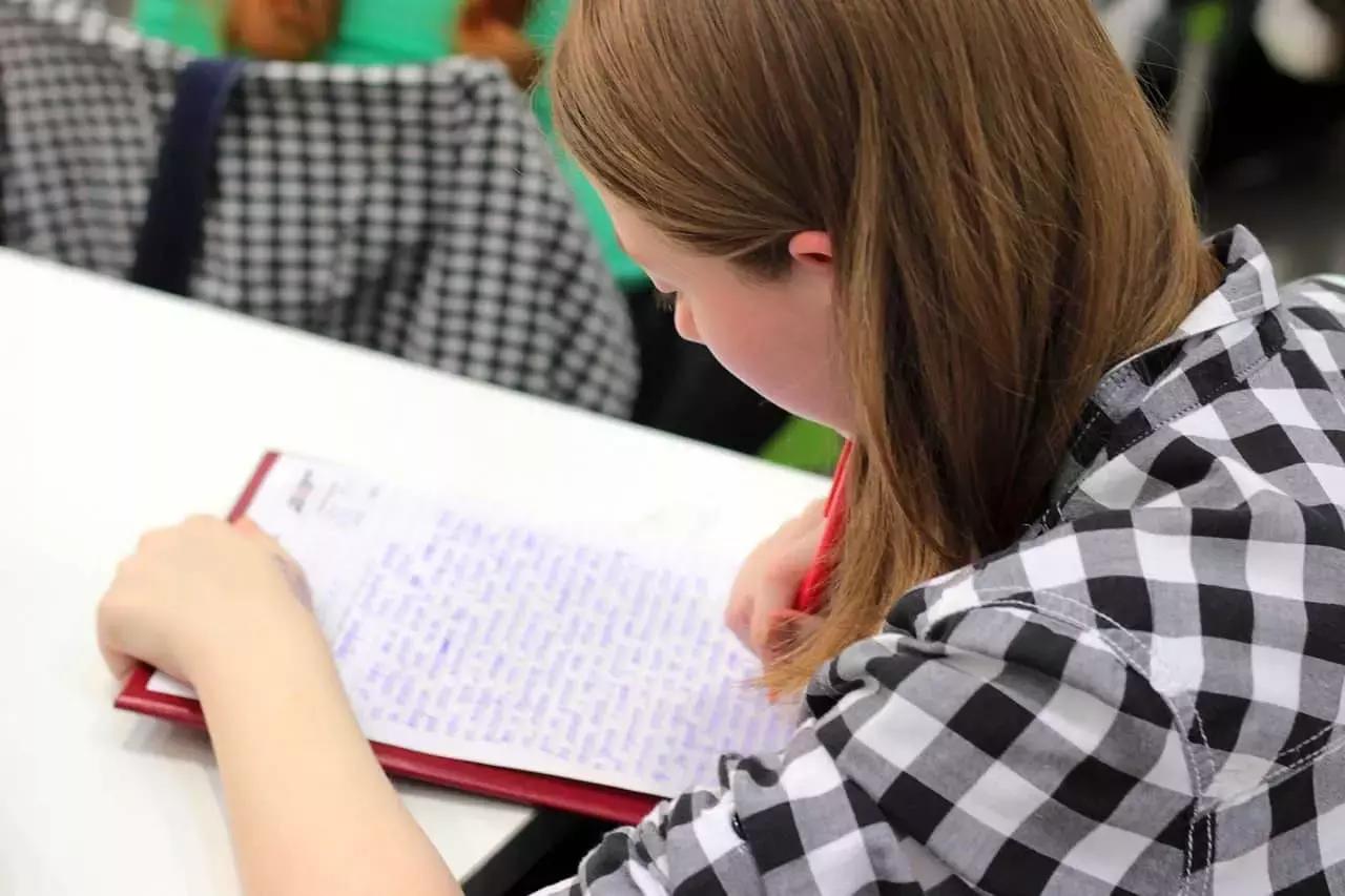 Ci sono molte possibilità per insegnare la lingua di Cervantes nella scuola pubblica, nelle scuole non statali, negli enti di formazione privati o come insegnante a domicilio con o senza abilitazione, basta essere bilingue e saper usare le risorse online.