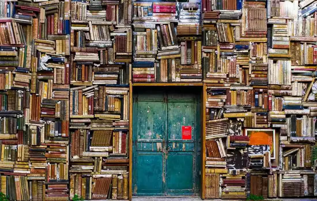 Per l'esame scritto e il colloquio orale dell'esame di maturità è importante onoscere le opere letterarie maggiori della cultura francofona e beneficiare di una comprensione dei suoi autori nel loro contesto.