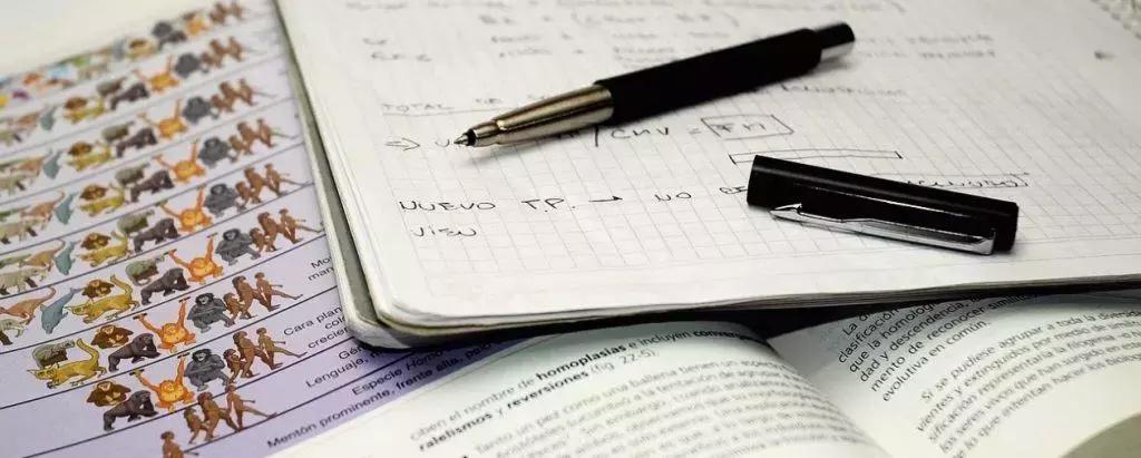 Se pensi in grande da lavoratore autonomo, puoi arrivare a creare la tua impresa specializzata nelle ripetizioni scolastiche. 