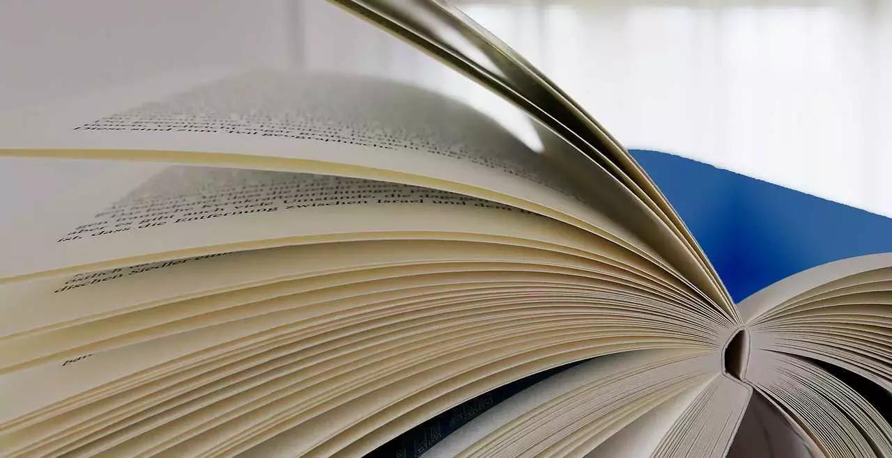 La lettura fine a se stessa non porta da nessuna parte. L'importante è comprendere quello che c'è scritto.