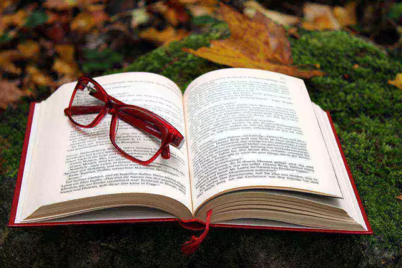 In questo modo, avrà sempre un'idea chiara e generale di quello che sta imparando.