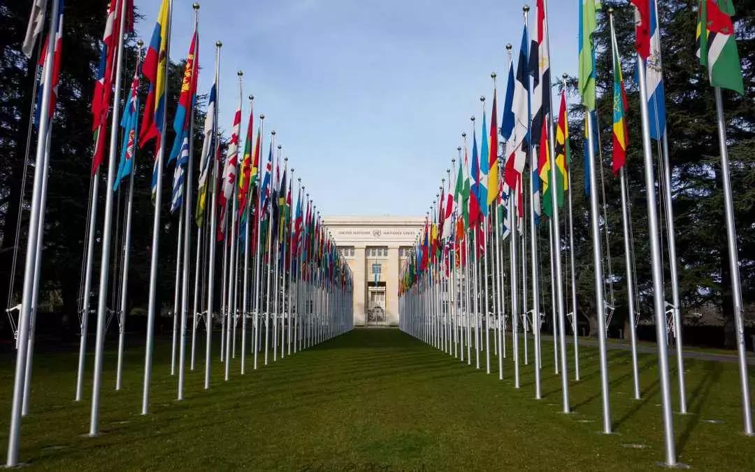 Parte dei fondi delle comunità internazionali sono destinati all'alfabetizzazione e il progresso in campo scolastico dei Paesi africani.