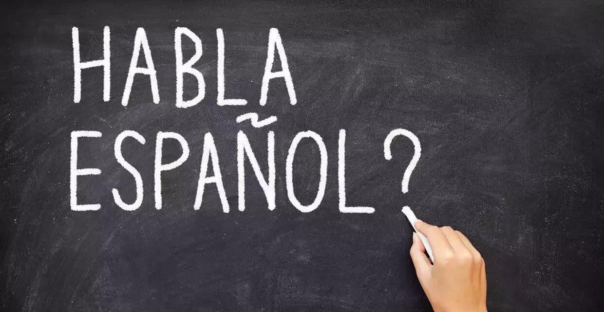 Sono tantissimi i siti e le app che consentono di studiare ex novo una lingua.