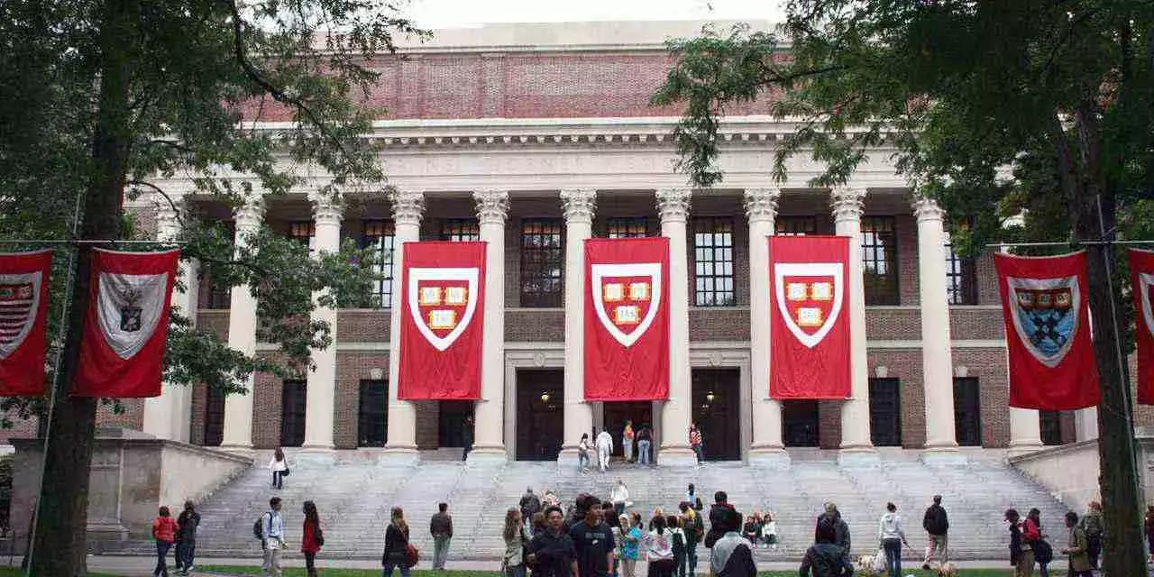 Le ripetizioni private consentono agli studenti di mostrare quanto di meglio c'è dentro di loro.