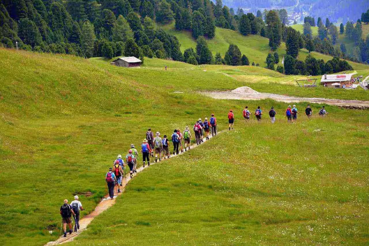 La marcia nordica, nota anche come north walking, unisce i benefici dell'aria pulita di montagna a quelli del movimento.