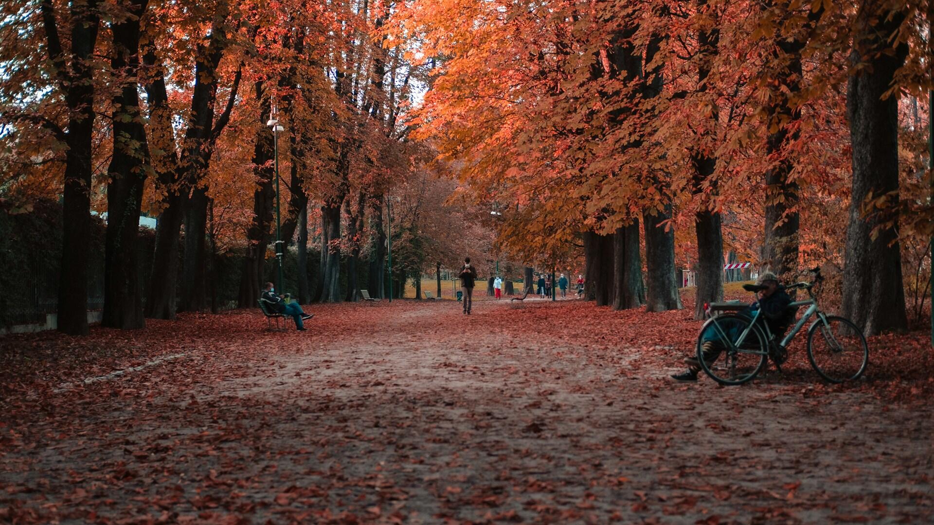 Il Parco Sempione, uno dei più celebri parchi di Milano.